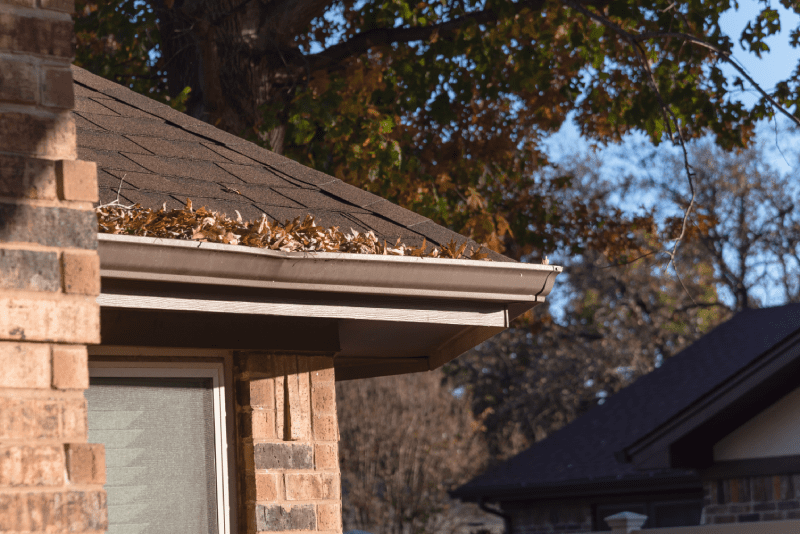 Gutter on a house clogged with leafs.
