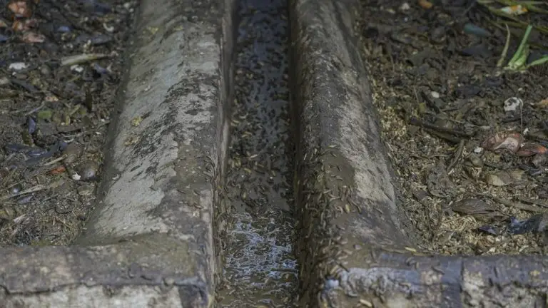 downspout drain extensions