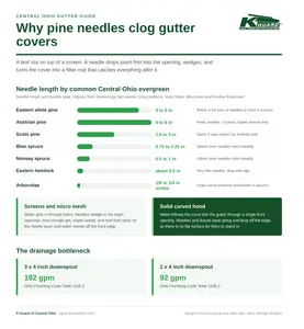 Infographic showing needle length by Central Ohio evergreen and how mesh gutter covers clog with needles
